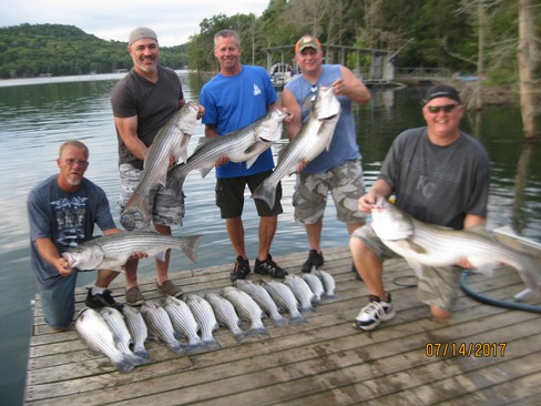 Nice Striped Bass